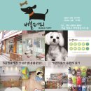 버블퍼피 이미지