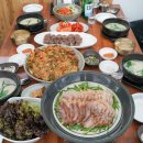 졸또 이미지