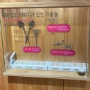 예술철물 | 서울공예박물관] 어린이박물관 3층 옷공방 공예 체험 온라인 예약 후 방문 후기, 안국역 조계사 나들이