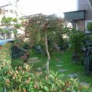 사림동239 이미지