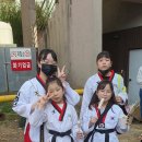 명성 바른자세 태권도 이미지