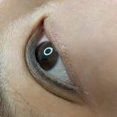 춘천초등학교 | 춘천 온의동 속눈썹펌 잘하는 곳｜에즈에버 1:1 퍼스널 눈썹·속눈썹 후기