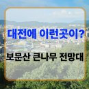 행복목재 | 대전 근교 가볼만한곳 보문산 큰나무 전망대와 행복숲길 산책 후기