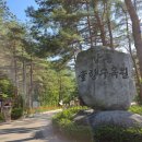 강원도 가볼만한 곳 강릉 솔향 수목원 산책 코스 위치 및 주차 입장료 내부 포토존 관람차