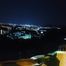 소노펠리체 델피노 이미지