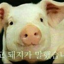 피자일번가 이미지