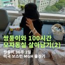 보스턴은소아과 | 🏨 미국 쌍둥이 출산 #16 (2) | 5박 6일 보스턴 MGH 입원 후기 💡 첫샤워, 얼음물, 황달 치료, 미국 병원...