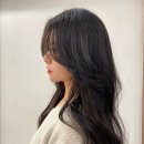 청담하우스 헤어