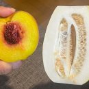 올래볶이 네이버블로그