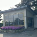 그늘집 네이버블로그