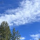 메이플팜 이미지