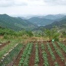 원식농장 이미지