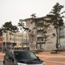 저단54 Daum카페