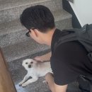 정원비치펜션 | 거제 오션뷰 해수욕장 도보 5분 강아지있는 '와현비치펜션' 내돈내산 숙박 후기