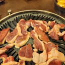 낙동생오리 이미지
