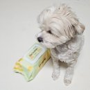 코코프렌즈 이미지