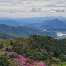 와룡리마을길 이미지