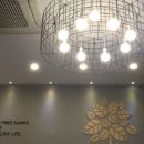 국수나무(별내점) 이미지