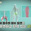 백년 습관, 통증잡는 스트레칭 이미지