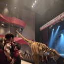 주니삼촌 공룡애니멀쇼 시즌2 | [부산 해운대] 가족이 함께 보는 매직쇼 공룡애니멀쇼 관람후기