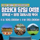 [부산/울산출발] 청와대,광장시장 당일 / 청와대,임진각 1박2일 이미지