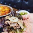 시골오리 이미지