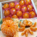 인애청과 이미지