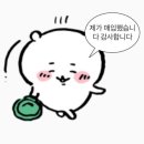 2024 팀레진 팝업스토어 방문 후기