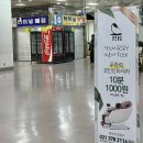 임계임시버스터미널 | 성남종합버스터미널 예매 방법, 노선, 시간표 여행 후기