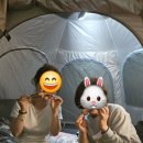 금대에코힐링캠핑장 | 원주치악산 금대에코힐링 캠핑장 1박