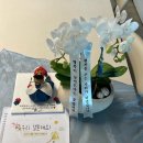 맹그노니 | [W10] 대구 경복궁 상견례 후기ㅣ상견례 초대장ㅣ선물(맹그노니, 꽃까비)ㅣ상견례 PPTㅣ음식까지 총 정리 !