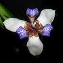 연소목장 이미지