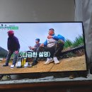 관마로 이미지