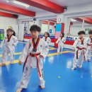 경희대도전태권도장 이미지