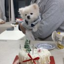 분당운중-D-2 | 운중클래식 크리스마스 디너 후기｜레드 인테리어와 스테이크