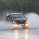 서호동-23 이미지