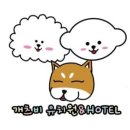 개츠비유치원&호텔 네이버블로그