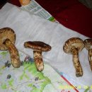 우식농장 이미지