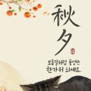 블링블링펫 이미지