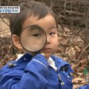 숲속어린이집 이미지