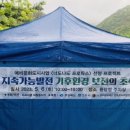 용담장 이미지