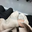 보경구내식당 - 4645 | [인턴일기2️⃣]_매일이 복붙인 취준생 인턴 일상😿
