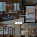 맥심휴게실 - 50606 | ♨️ 3,200평 키위스파랜드 하루순삭 후기