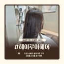 루원시티미용실 헤이루아헤어 시그니처 클리닉 후기, 손상모가 달라졌어요