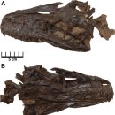 사우로2 이미지