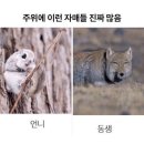 쇼트트랙 헝가리 형제들 형, 동생 쉽게 구분하는 법 이미지