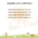 건강한펫 이미지