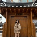 와이와이어페럴 이미지