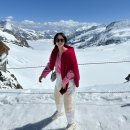 멍멍's 패밀리 | 스위스 융프라우 에서 신라면먹기