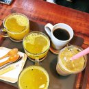 꽃다지 맞은편 이미지